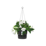 greenville hanging basket 24cm living black